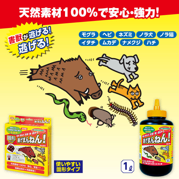 商品写真
