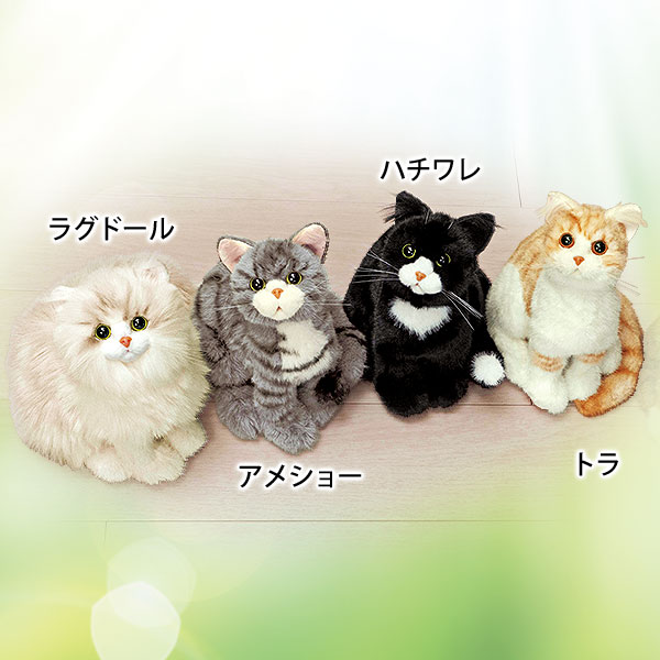 なでなで子猫ちゃん｜メルシーオンラインショップ