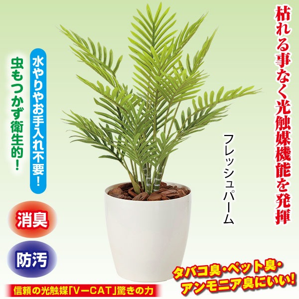 光の楽園 光触媒観葉植物フレッシュパーム 光の楽園 光触媒観葉植物フレッシュパーム