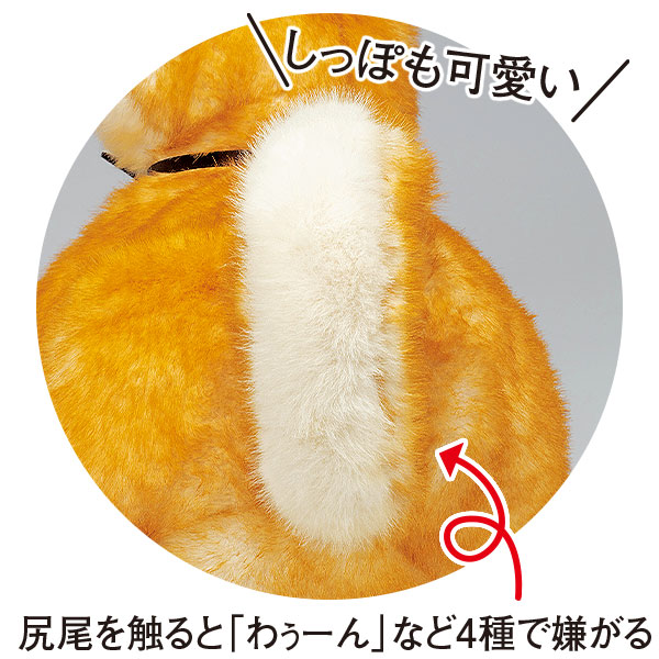 なでなでワンちゃん「秋田犬ハチ」｜メルシーオンラインショップ
