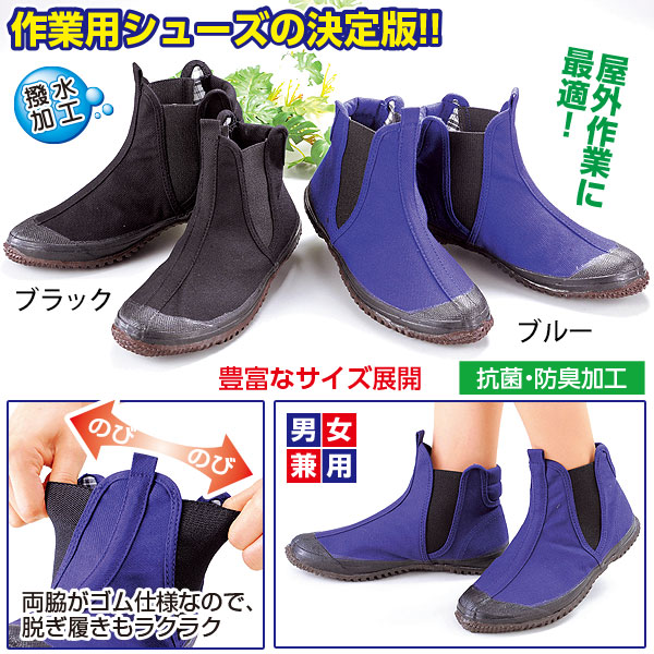 新型 親方寅さん