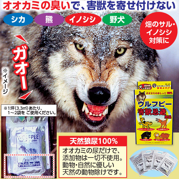 【新品未使用】熊や鹿などに有用忌避剤 ウルフピー顆粒 アメリカからの輸入品 新品未使用】熊や鹿などに有用忌避剤 ウルフピー顆粒 アメリカからの輸入品