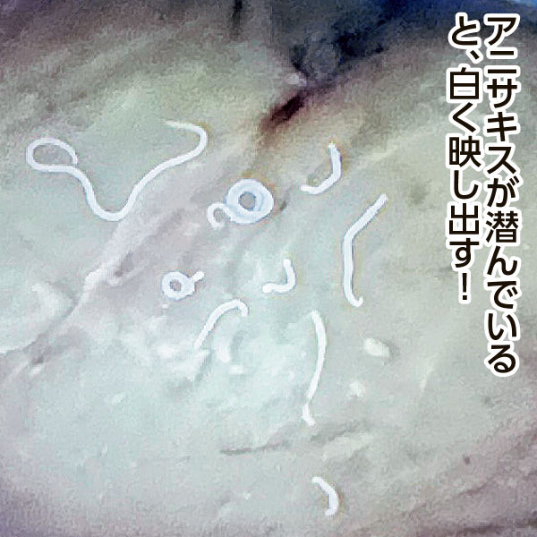 ֥˥ץå饤