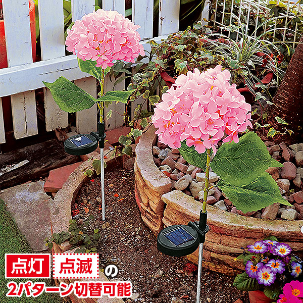 光る！！大きなピンク紫陽花 2本組｜メルシーオンラインショップ