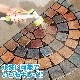 ХĴΥޥåȡȾߡ