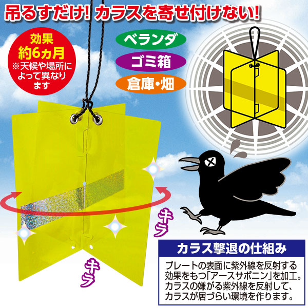 カラスよらーず