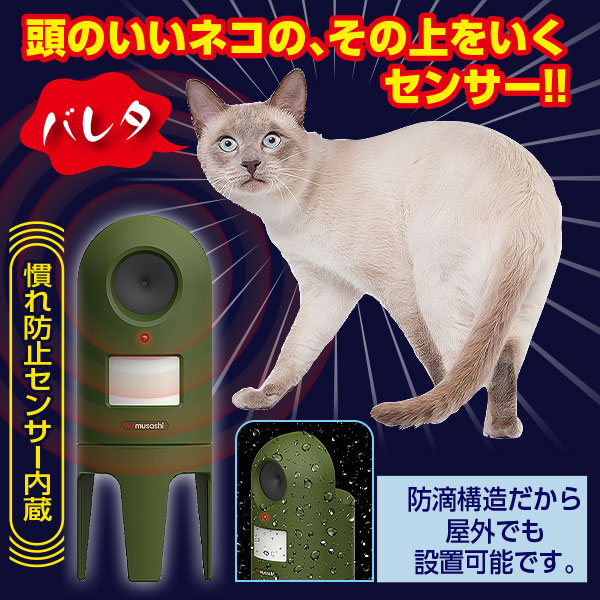 Ķǭ褱  ǭä