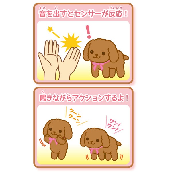 元気な仔犬のショコラちゃん