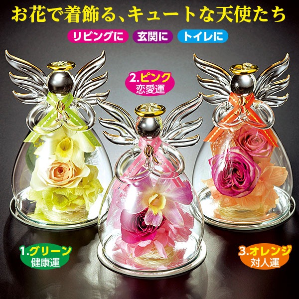 YOSA ヒカリフローラピュア2箱セット ピュアフローラ 2個セット YOSA ヒカリフローラピュア2箱セット YOSA