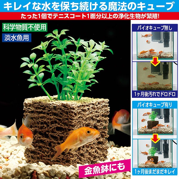 バイオキューブ（水草付）｜メルシーオンラインショップ