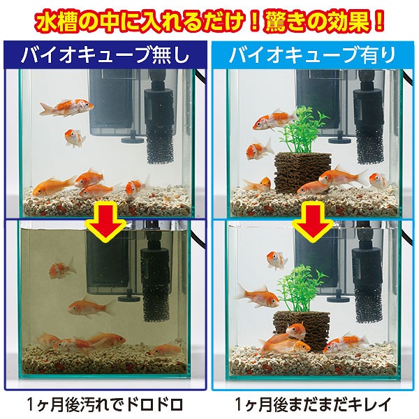 バイオキューブ（水草付）｜メルシーオンラインショップ