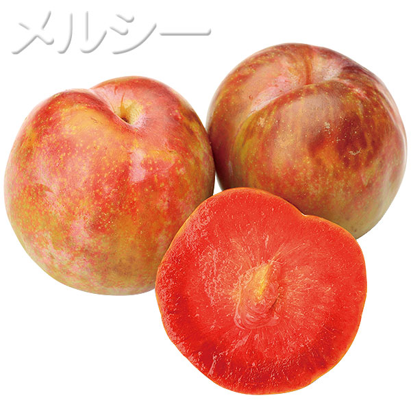 ○プラム メスレー 1株｜メルシーオンラインショップ