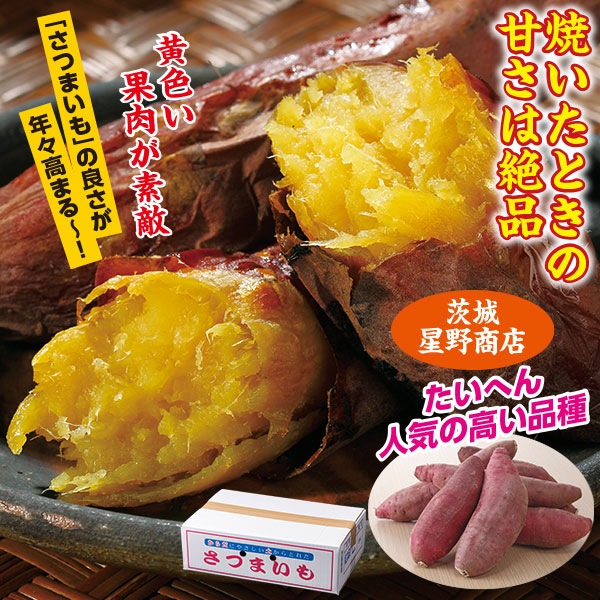 茨城県産 紅はるか 2kg 5kg