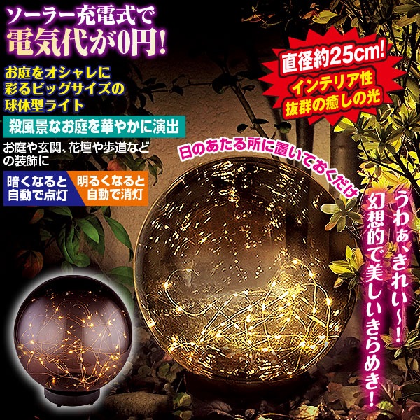 顼  ӥåܡ饤