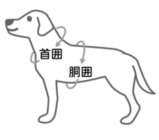 ハーネス&リード　Botanical ango菊紋