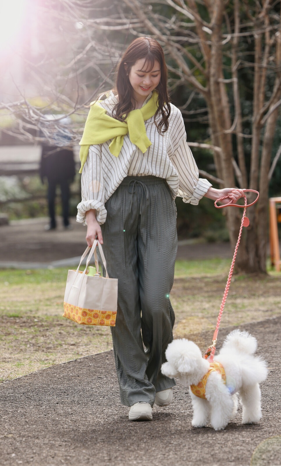 ハーネス&リード　Botanical ango菊紋