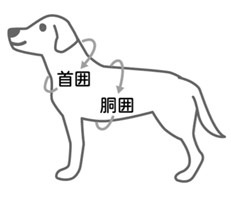 ハーネス&リード　Botanical ango菫紋