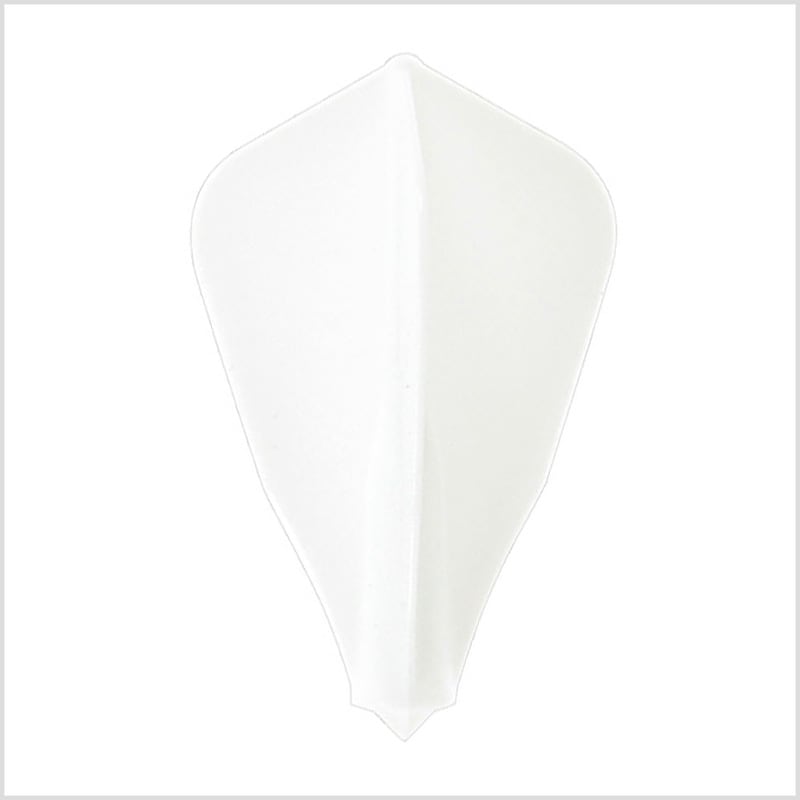 ��-ZERO- �ե饤�ȡ�FS�ۥ磻��