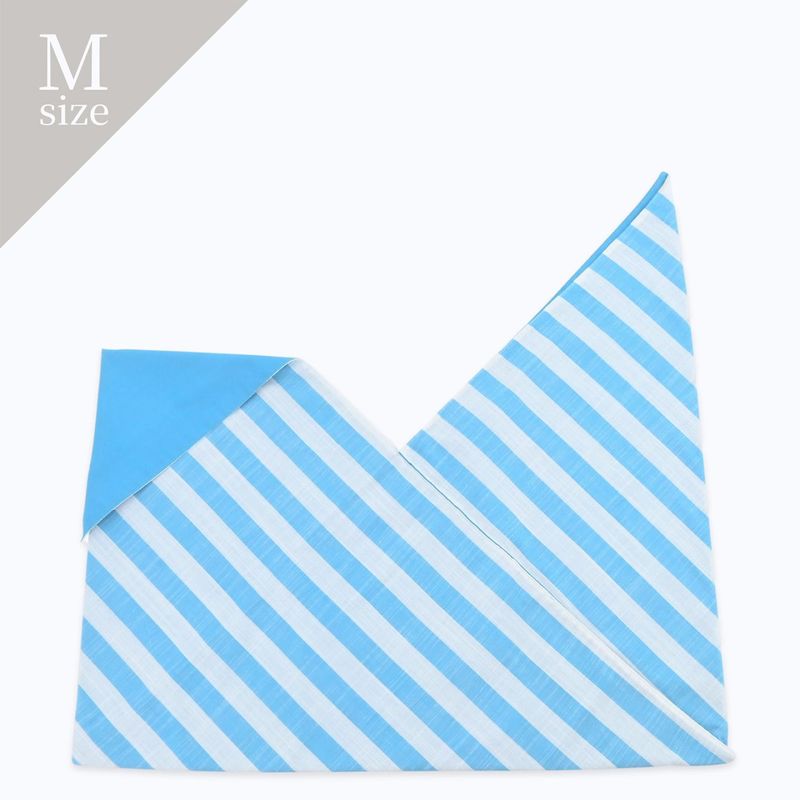 INBAG STRIPE (M) - BLUE