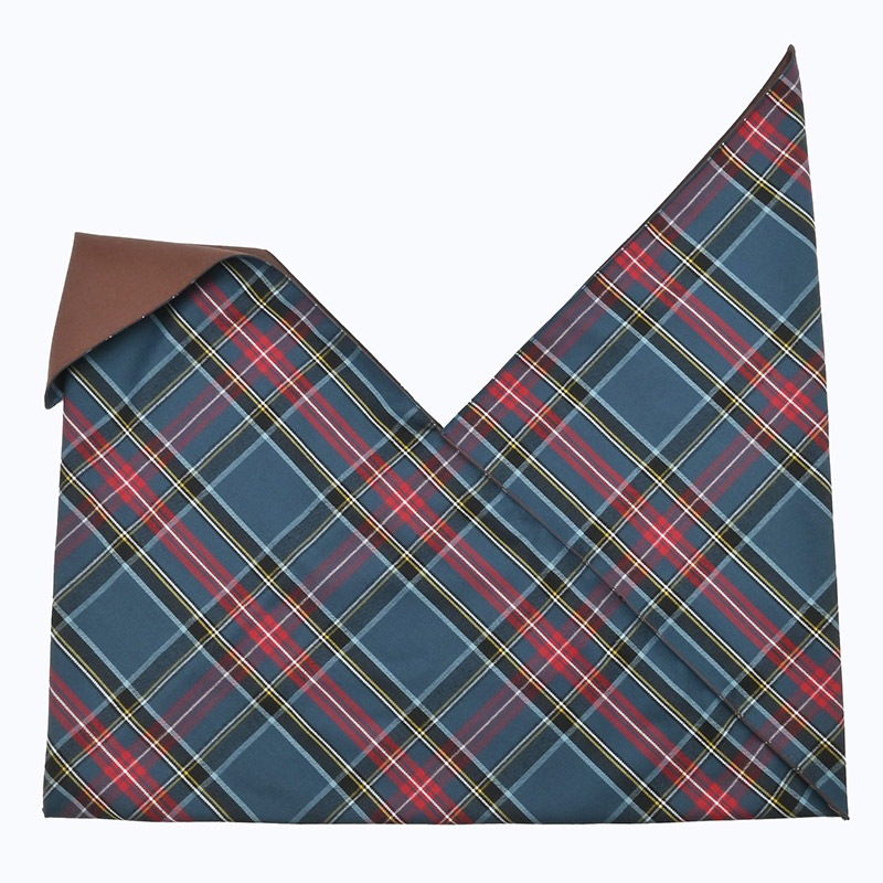 INBAG CHECK - BLUEGRAY