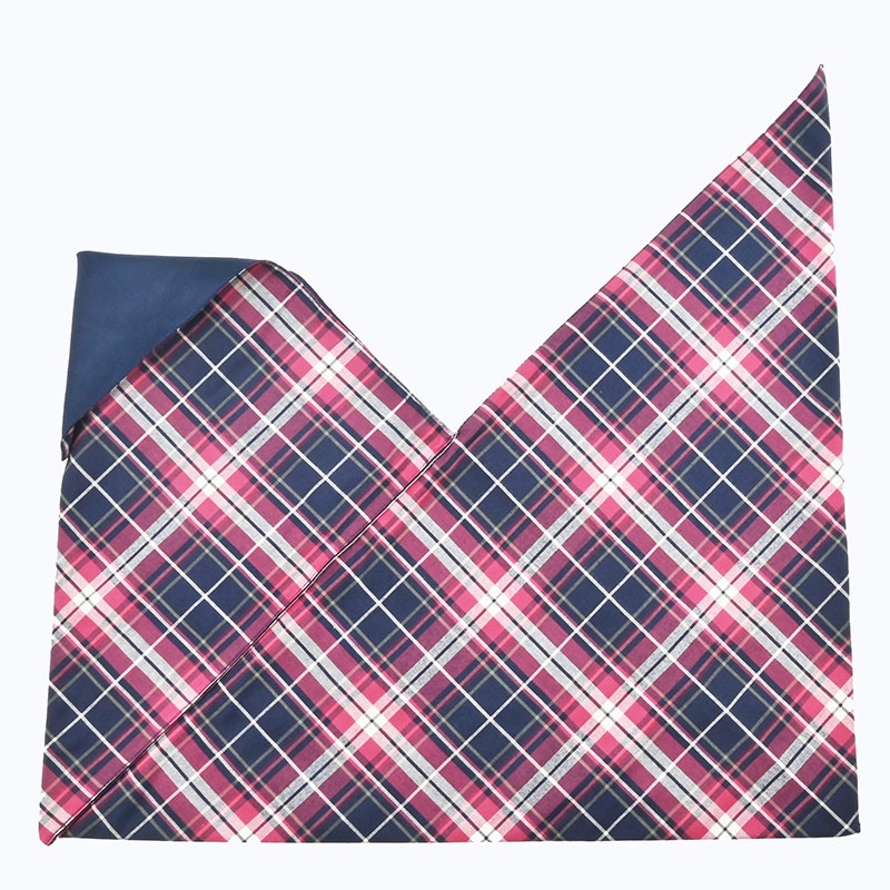 INBAG CHECK M - RD×NV