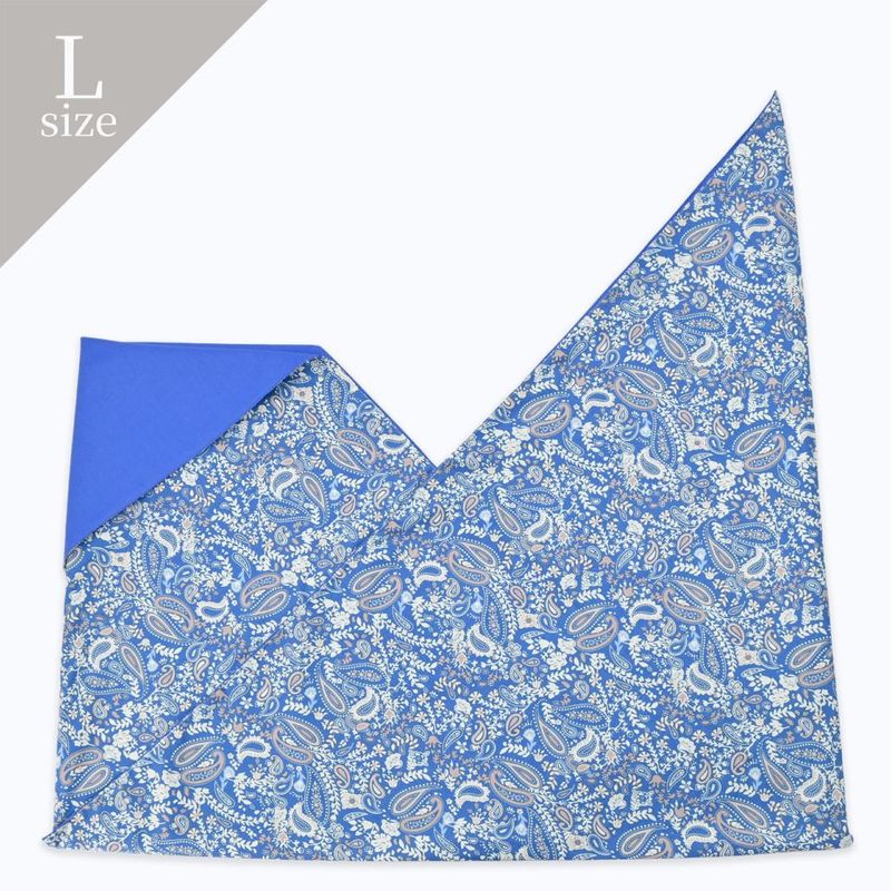 INBAG PAISLEY (L) - BL×BE