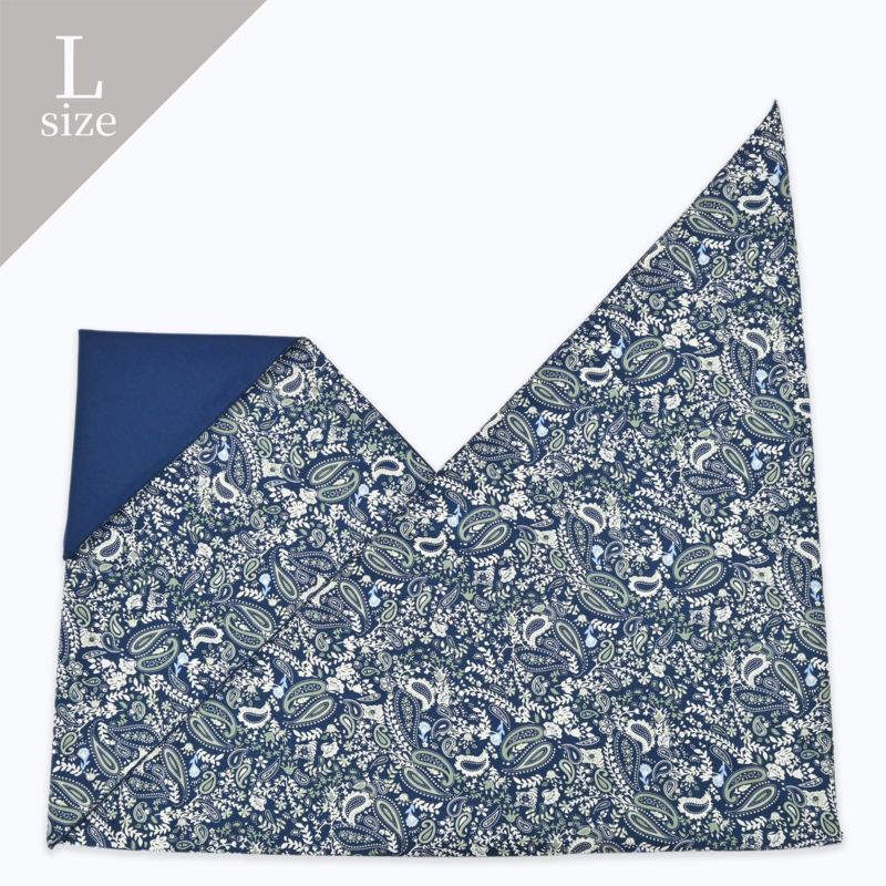 INBAG PAISLEY (L) - NV×GR