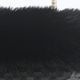 RENA V-FUR S - BLACK