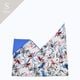 INBAG FLOWER (S) - MULTI