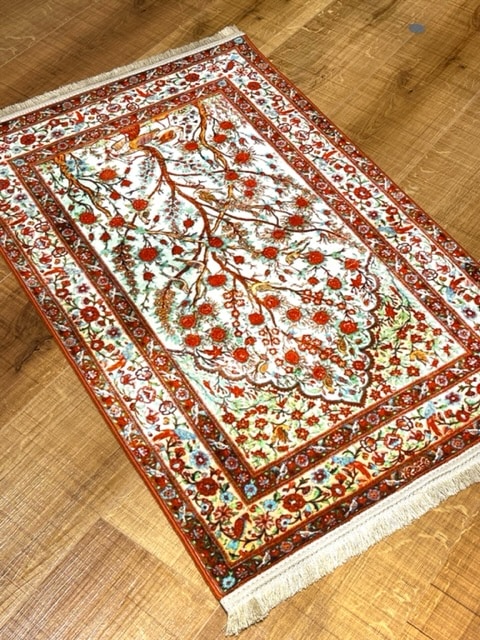 ���������p28