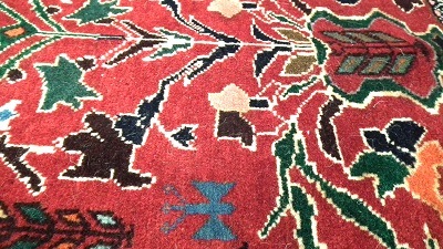 �ڥ륷�����62x66