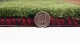 å١ӥ󥰥 241x163