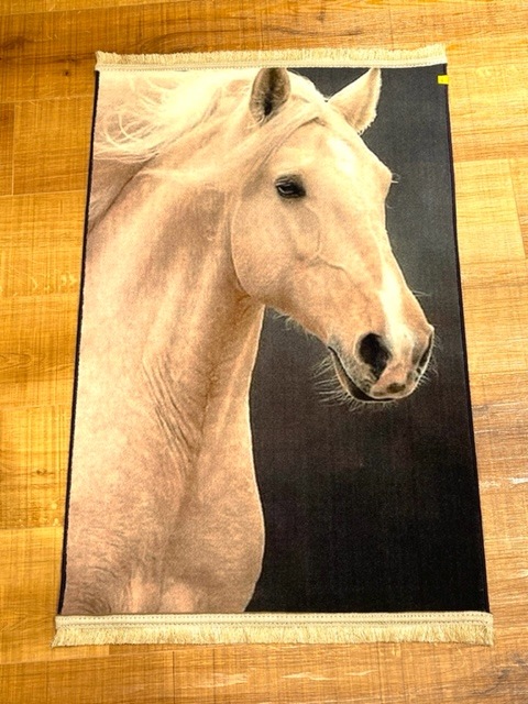 ���������p5