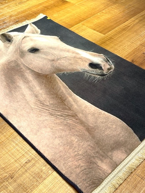 ���������p5