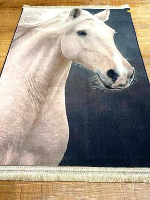 ���������p5