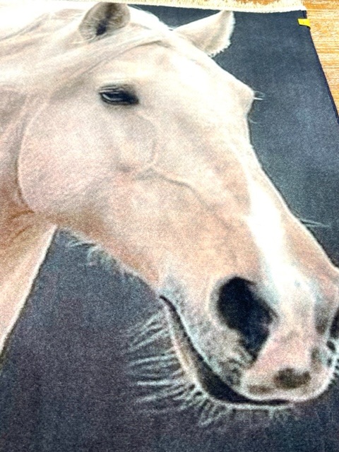 ���������p5