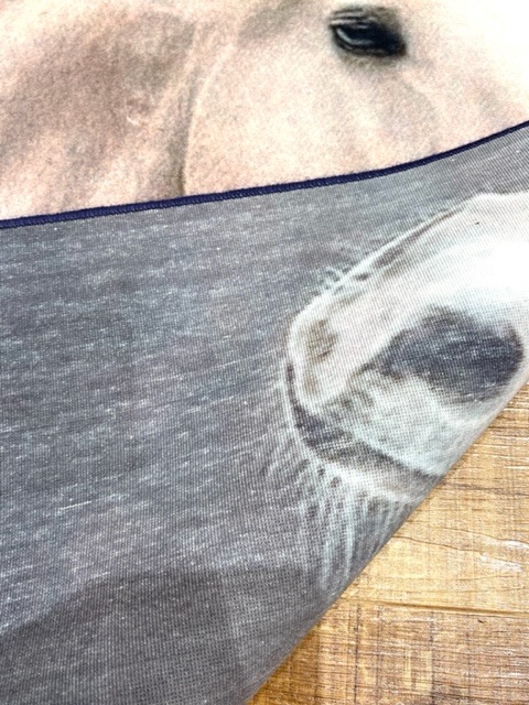 ���������p5