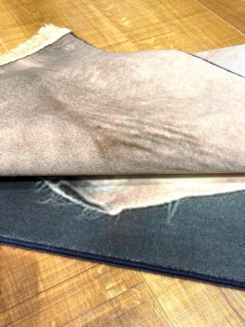 ���������p5