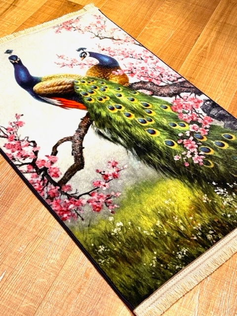 ���������p17