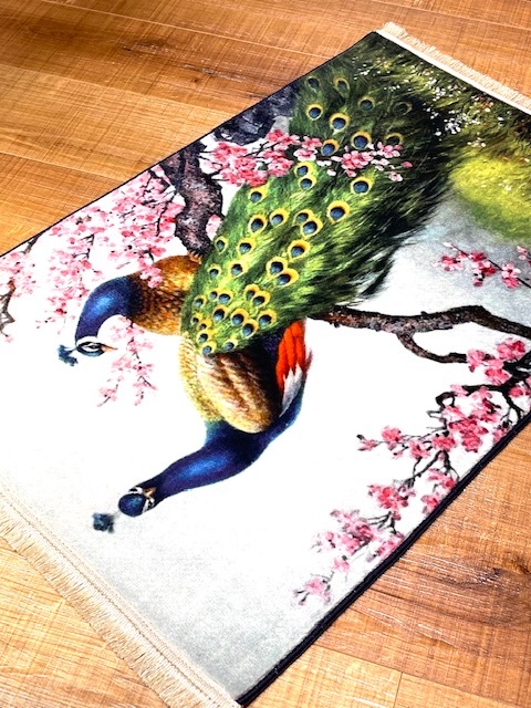 ���������p17