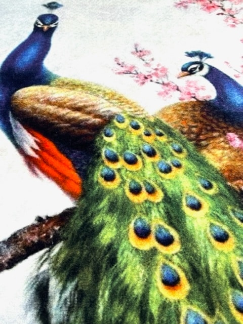 ���������p17