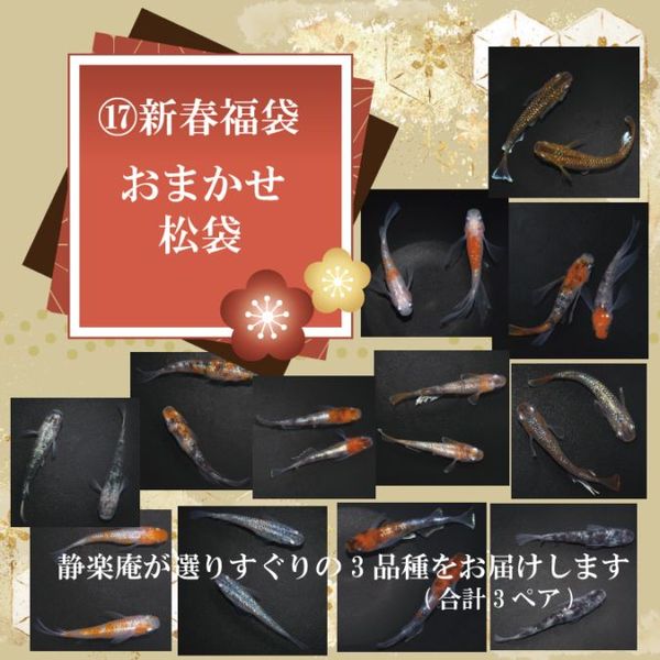 すべての商品 | 静楽庵