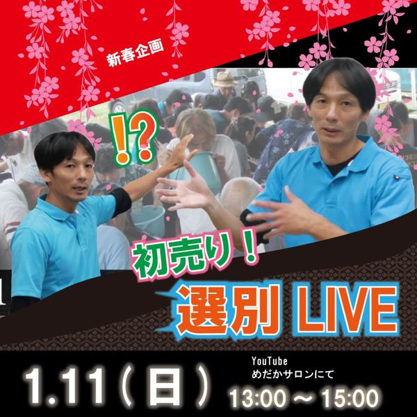 HS-1������ꡪ����LIVE��MIX��2�ڥ����å�