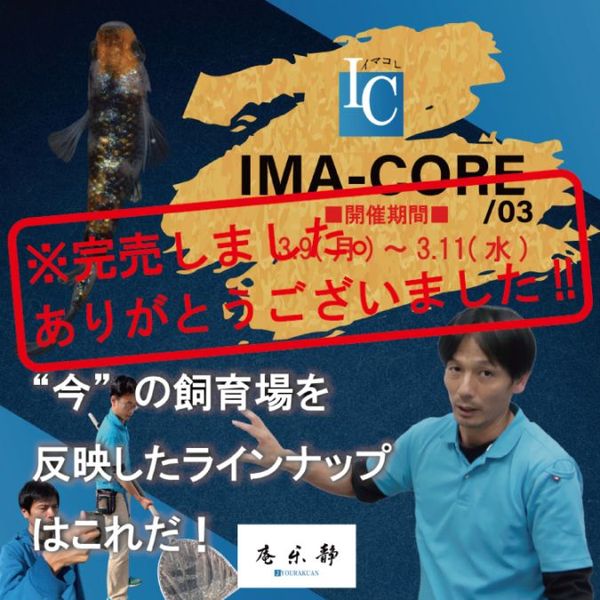 IC-4��IMA-CORE/03�����¥��ե�����NOVA�ڥ��ɥХ󥹥ץ��ۡ�3�ڥ�