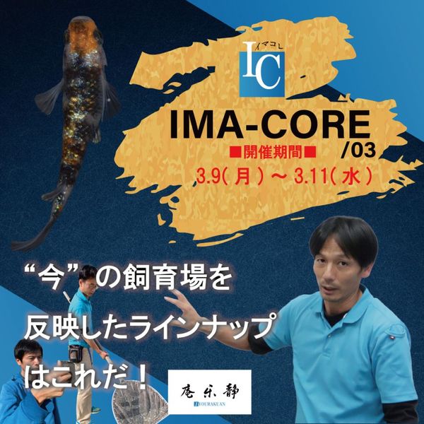 IC-9��IMA-CORE/03�����쥯�ȡڥ���������ɥץ��ۡ�3�ڥ�
