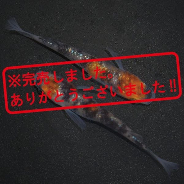 G-5614��3����ᴴǷ���ե�������-������������-���ڥ����å�