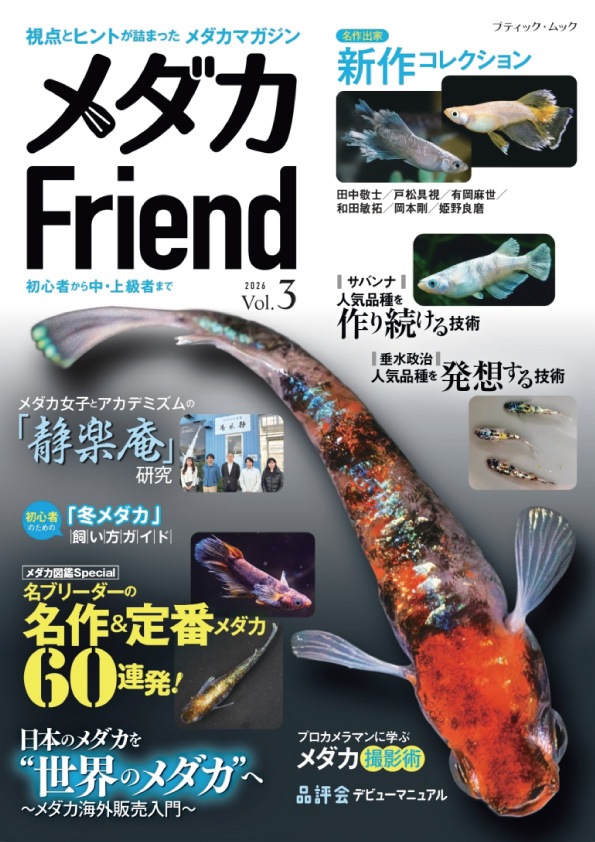 H-3�������Friend��Vol.3