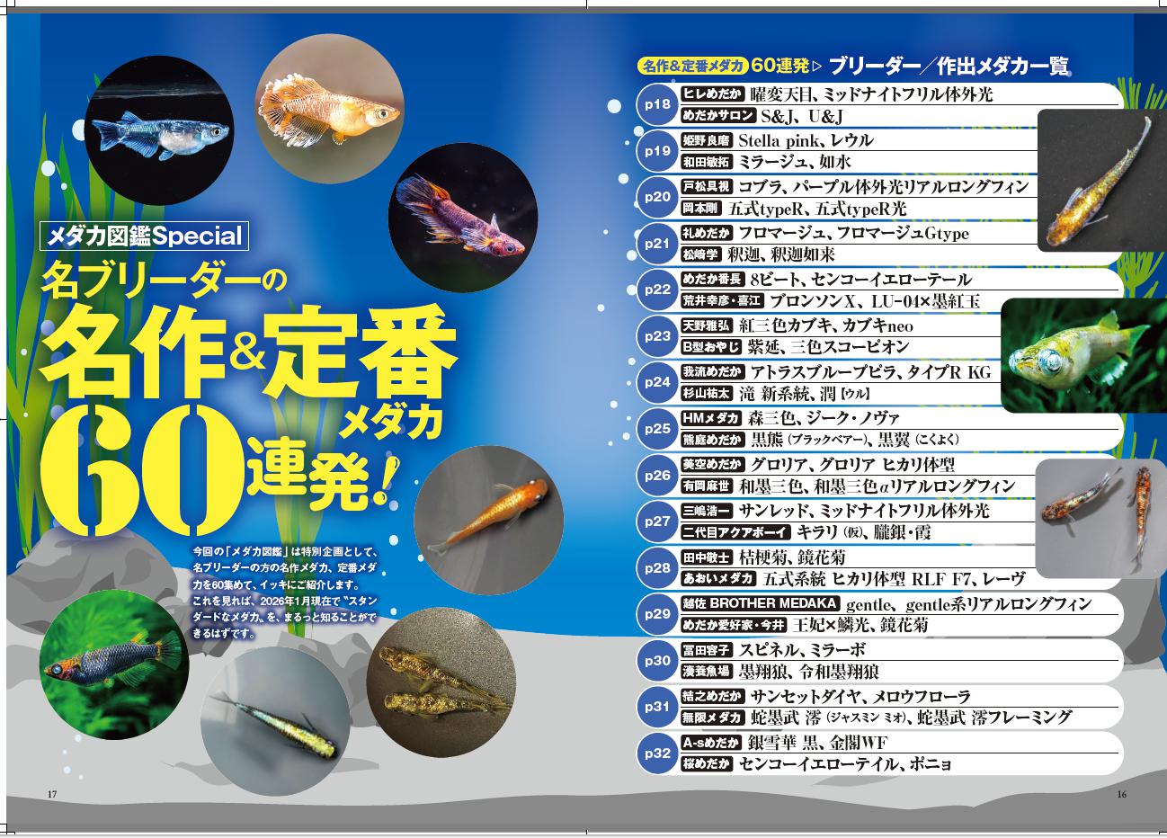 H-3�������Friend��Vol.3