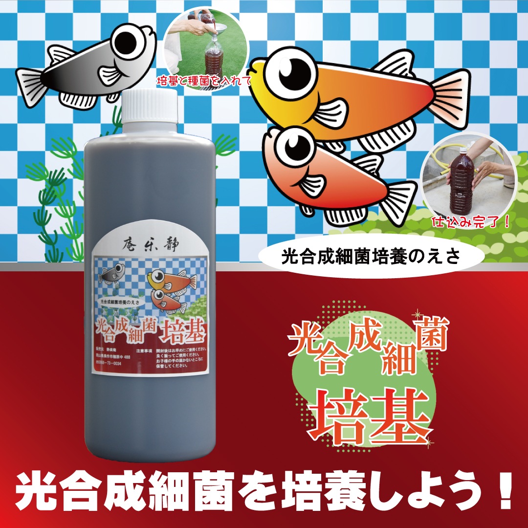 �������ٶݤ��ݴ� ��L