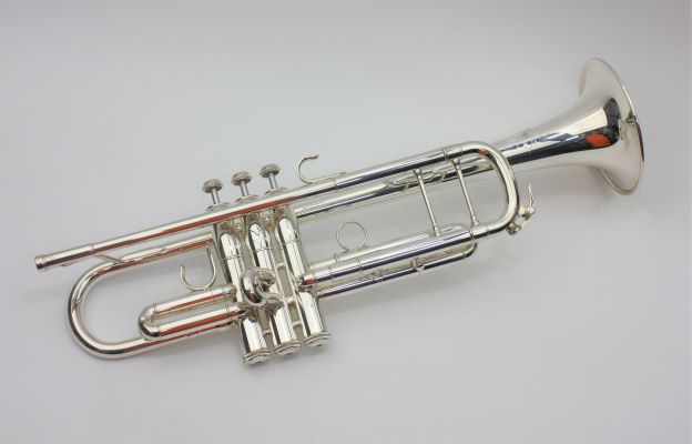 S.E.Shires B���ɥȥ��ڥå� �������ॷ�꡼��